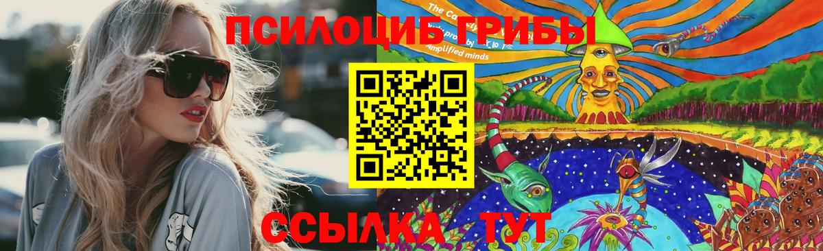 Галлюциногенные грибы Cubensis Бирск