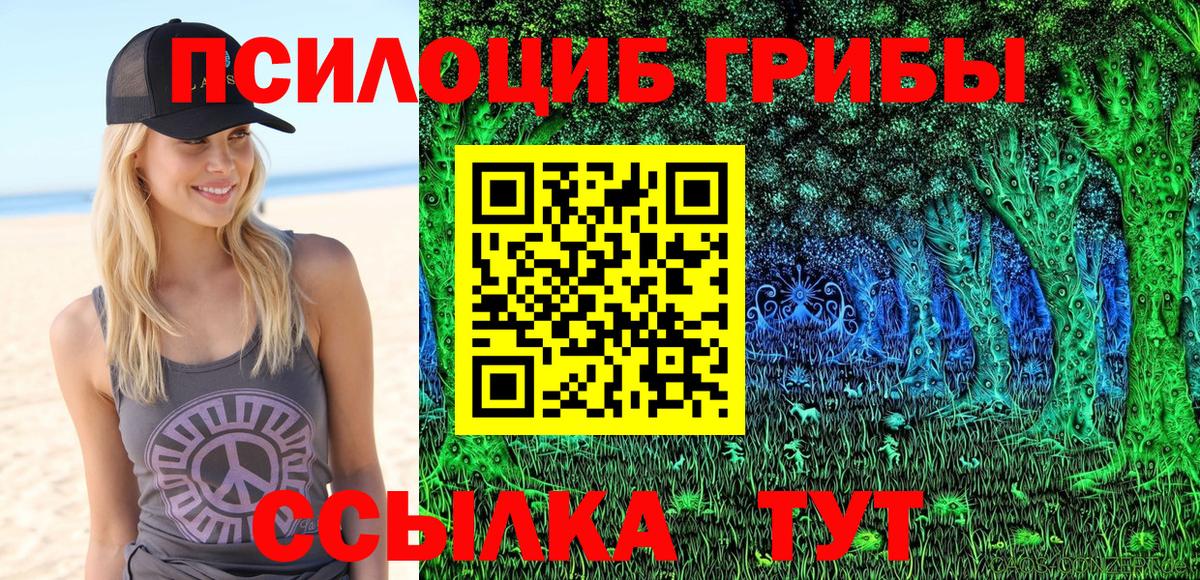 Бирск  Псилоцибиновые грибы мицелий  Вход с VPN 